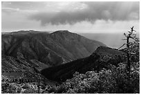 Mountain view with Hunter Peak and Pine Spring Canyon. Guadalupe Mountains National Park, Texas, USA. (black and white)