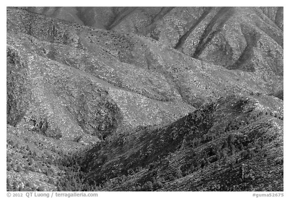 Ridges from fossil Reef. Guadalupe Mountains National Park, Texas, USA.