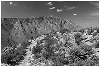 Hiker on trail above Pine Spring Canyon. Guadalupe Mountains National Park, Texas, USA. (black and white)