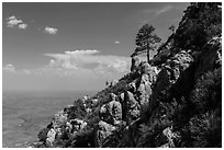 Slopes with trees and rocks high above plain. Guadalupe Mountains National Park, Texas, USA. (black and white)