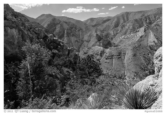 Pine Spring Canyon from above. Guadalupe Mountains National Park (black and white)