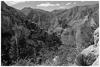 Pine Spring Canyon from above. Guadalupe Mountains National Park ( black and white)