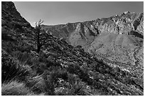 Slopes with shrubs and Hunter Peak. Guadalupe Mountains National Park ( black and white)