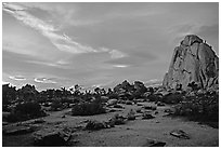 Landscape with climbers at sunset. Joshua Tree National Park ( black and white)