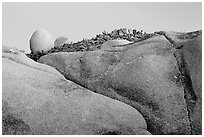 Rocks at dusk, Jumbo Rocks. Joshua Tree National Park ( black and white)