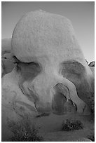 Skull rock at dusk. Joshua Tree National Park ( black and white)