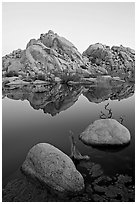 Rockpiles and reflections, Barker Dam, dawn. Joshua Tree National Park ( black and white)