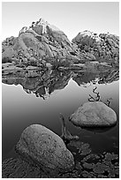 Rockpile and refections, Barker Dam, sunrise. Joshua Tree National Park, California, USA. (black and white)