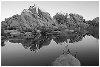 Rocks reflected in reservoir, Barker Dam, sunrise. Joshua Tree National Park ( black and white)