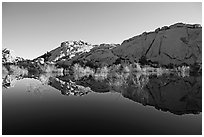 Rocks, willows, and Reflections, Barker Dam, morning. Joshua Tree National Park ( black and white)