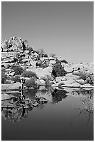 Photographer at Barker Dam. Joshua Tree National Park, California, USA. (black and white)
