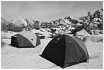 Tents, Hidden Valley Campground. Joshua Tree National Park, California, USA. (black and white)