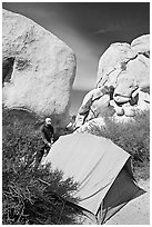 Camper and tent, Hidden Valley Campground. Joshua Tree National Park, California, USA. (black and white)