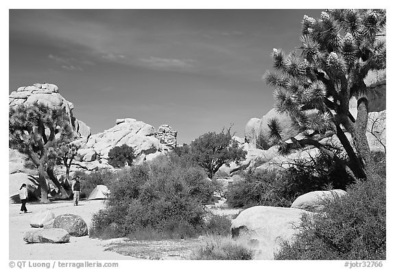 Campers, Hidden Valley Campground. Joshua Tree National Park (black and white)