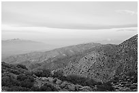 Keys View, sunrise. Joshua Tree National Park, California, USA. (black and white)