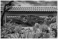 Desert plants and mural, Oasis Visitor Center. Joshua Tree National Park ( black and white)