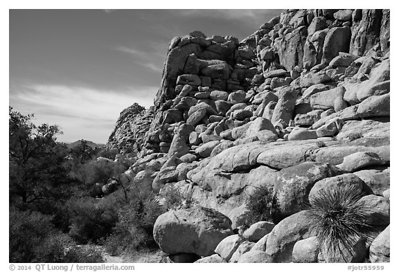 Towering rock formations around Hidden Valley. Joshua Tree National Park (black and white)