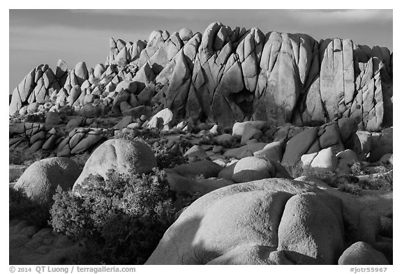 Rock wall with marble rocks at sunset, Jumbo Rocks. Joshua Tree National Park (black and white)