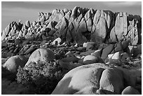 Rock wall with marble rocks at sunset, Jumbo Rocks. Joshua Tree National Park ( black and white)