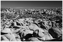 Landscape of rocks, White Tank. Joshua Tree National Park ( black and white)