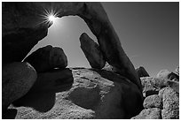 Arch Rock and sunstar. Joshua Tree National Park ( black and white)