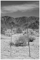 Signage and Pinto Mountains. Joshua Tree National Park ( black and white)