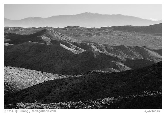 San Bernardino Mountains from Ryan Mountain. Joshua Tree National Park (black and white)