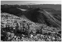 View towards San Bernardino Mountains from Ryan Mountain. Joshua Tree National Park ( black and white)