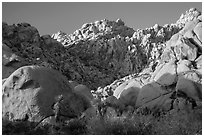 Towering rock formations, Indian Cove. Joshua Tree National Park ( black and white)