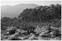 Boulder outcrop and ridge, Indian Cove. Joshua Tree National Park ( black and white)