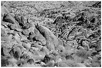 Rocks and desert slope. Joshua Tree National Park ( black and white)