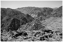 Park visitor looking, Queen Mountains. Joshua Tree National Park ( black and white)