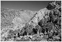 Rocky canyon and 49 Palms Oasis. Joshua Tree National Park ( black and white)