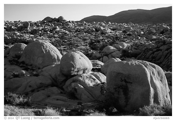 Huge boulders, White Tanks. Joshua Tree National Park (black and white)