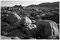 Huge boulders, White Tanks. Joshua Tree National Park ( black and white)