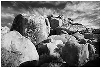 Boulder outcrop. Joshua Tree National Park ( black and white)