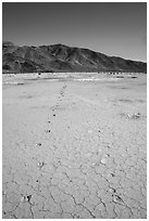 Parallel animal tracks on Pleasant Valley playa. Joshua Tree National Park ( black and white)