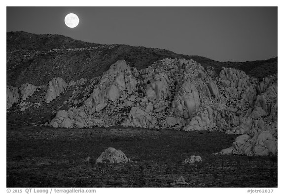 Moon rising about mountains. Joshua Tree National Park (black and white)