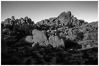 Moonlight, Hidden Valley. Joshua Tree National Park ( black and white)