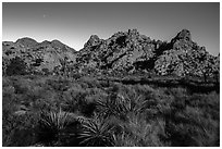 Hidden Valley with light of moonrise. Joshua Tree National Park ( black and white)
