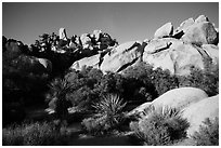Hidden Valley at night. Joshua Tree National Park ( black and white)