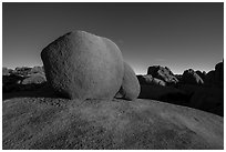 Twin boulders. Joshua Tree National Park ( black and white)