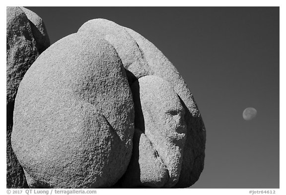 Boulder with sphynx shape and moon. Joshua Tree National Park (black and white)