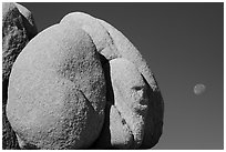 Boulder with sphynx shape and moon. Joshua Tree National Park ( black and white)