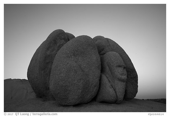 Group of boulders with sphynx head at dawn. Joshua Tree National Park (black and white)