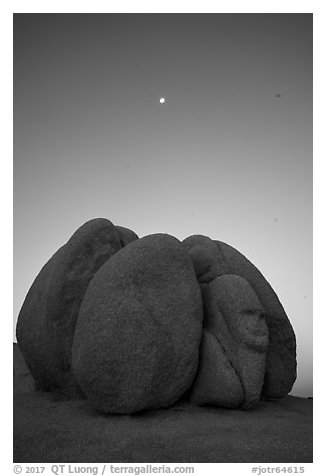 Group of boulders with sphynx and moon at dawn. Joshua Tree National Park (black and white)