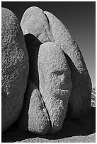 Sphynx-shaped boulder. Joshua Tree National Park ( black and white)