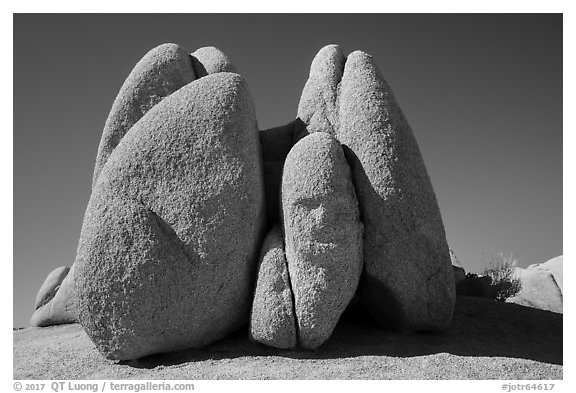 Rocks with Sphynx head. Joshua Tree National Park (black and white)