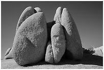 Rocks with Sphynx head. Joshua Tree National Park ( black and white)