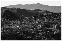 Boulders, ridges, and Eagle Mountain. Joshua Tree National Park ( black and white)